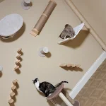 miniatures image - 2