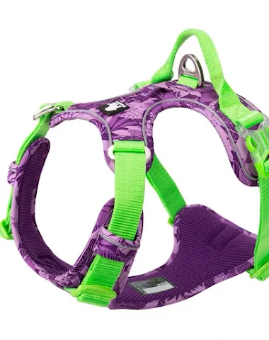 Image product - 3