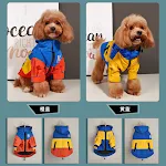 miniatures image - 10