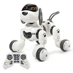 Wise robot dog