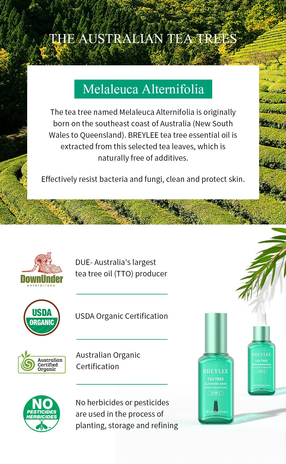 Title 10, BRYELEE Tea Tree Blackhead Set