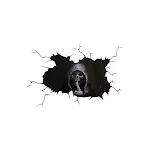 miniatures image - 0