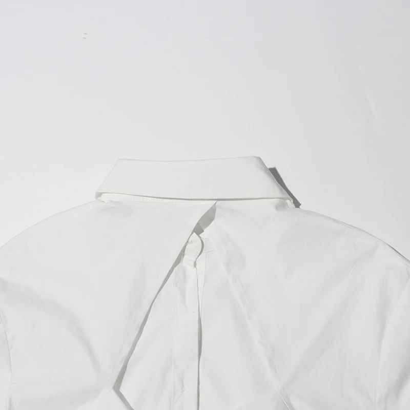 French New Temperamental Minority Design Tied Long Sleeves Shirt For Women — photo 12