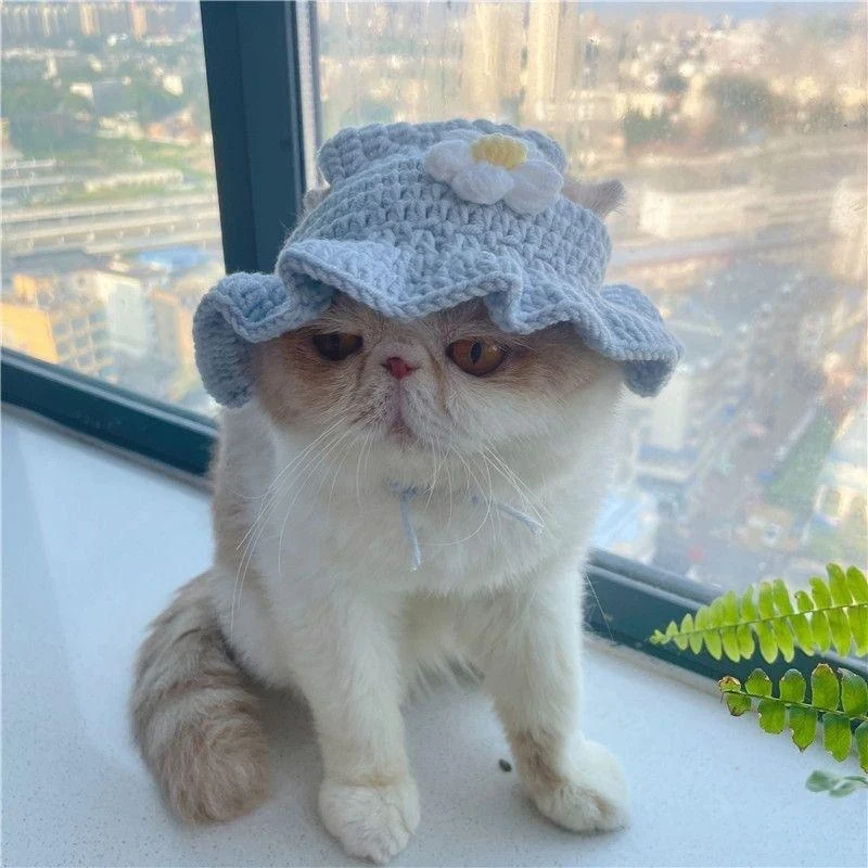 Pet Hood Cat Dog Knitted Hat Prop Headdress Funny Costume Accessory Perfect for Photoshoots and keeping your pet warm an — photo 33