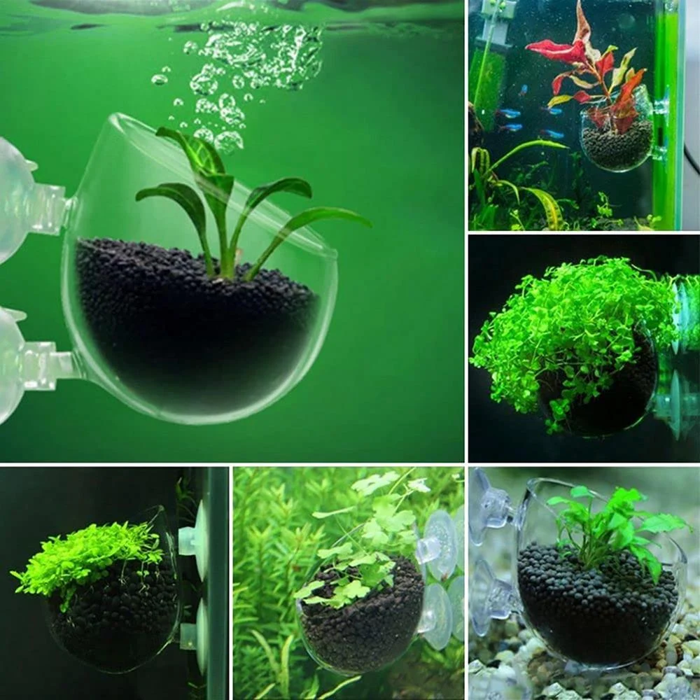 Title 4, Aquarium Decoration Plant Cup Pot Acrylic Aquat...