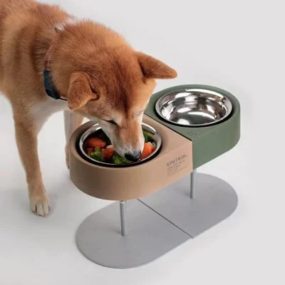 Title 1, Collapsible camping bowl for pet cats and dogs ...