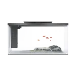 Blank fish tank
