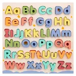 Case Plate