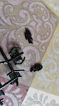 image - 3