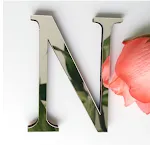 N