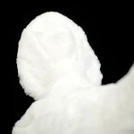 Boneca de pelúcia de galo branco de simulação fofa um brinquedo adorável e macio, perfeito para crianças e adultos, ideal para brincar e decorar. — foto 1