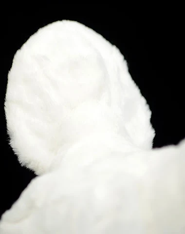 Image product - 0