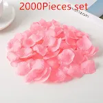 Pink2000Pieces set