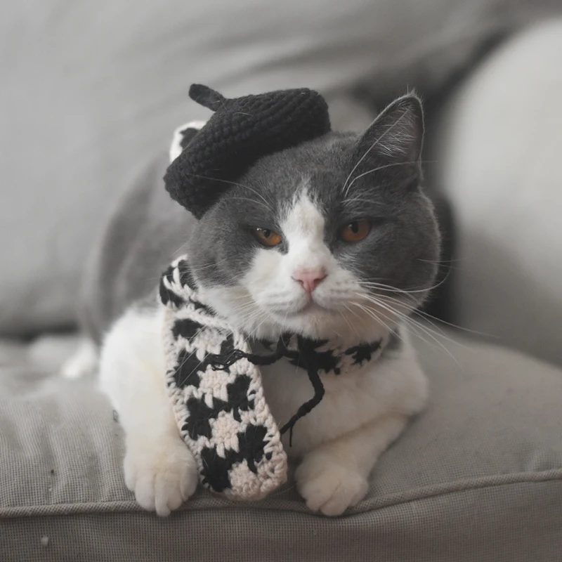 Title 5, Small Hat Beret Knitting Plaid Small Scarf Dog ...