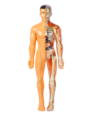 Image product - 1