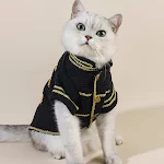 Trendy Cool Pet Clothes Jacket, a warm and stylish coat for dogs and cats, perfect for winter, keeps your pet cozy and f — photo 9