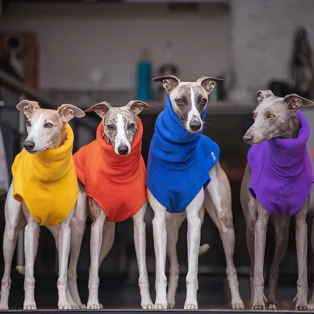 product image - 5