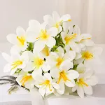 Milky White