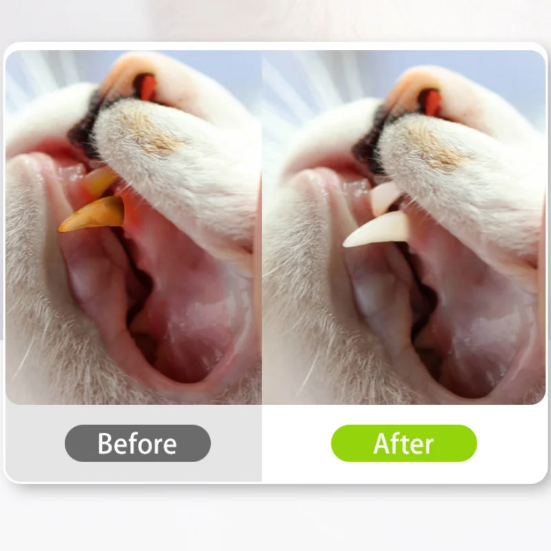Title 3, Natural Matatabi Pet Cat Snacks Sticks Cleaning...