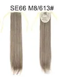 SE66 M8 613