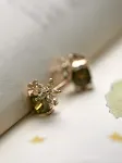 Ear Clip