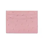 Pink Camel Pattern