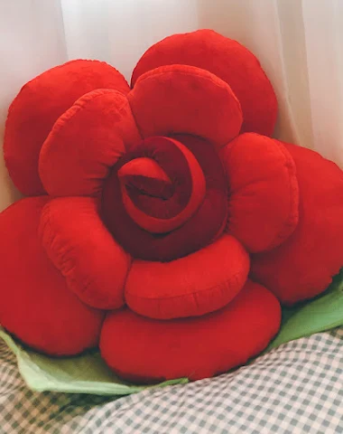 Image product - 3
