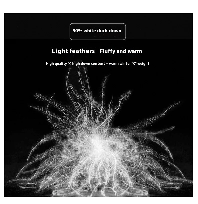 product image - 23