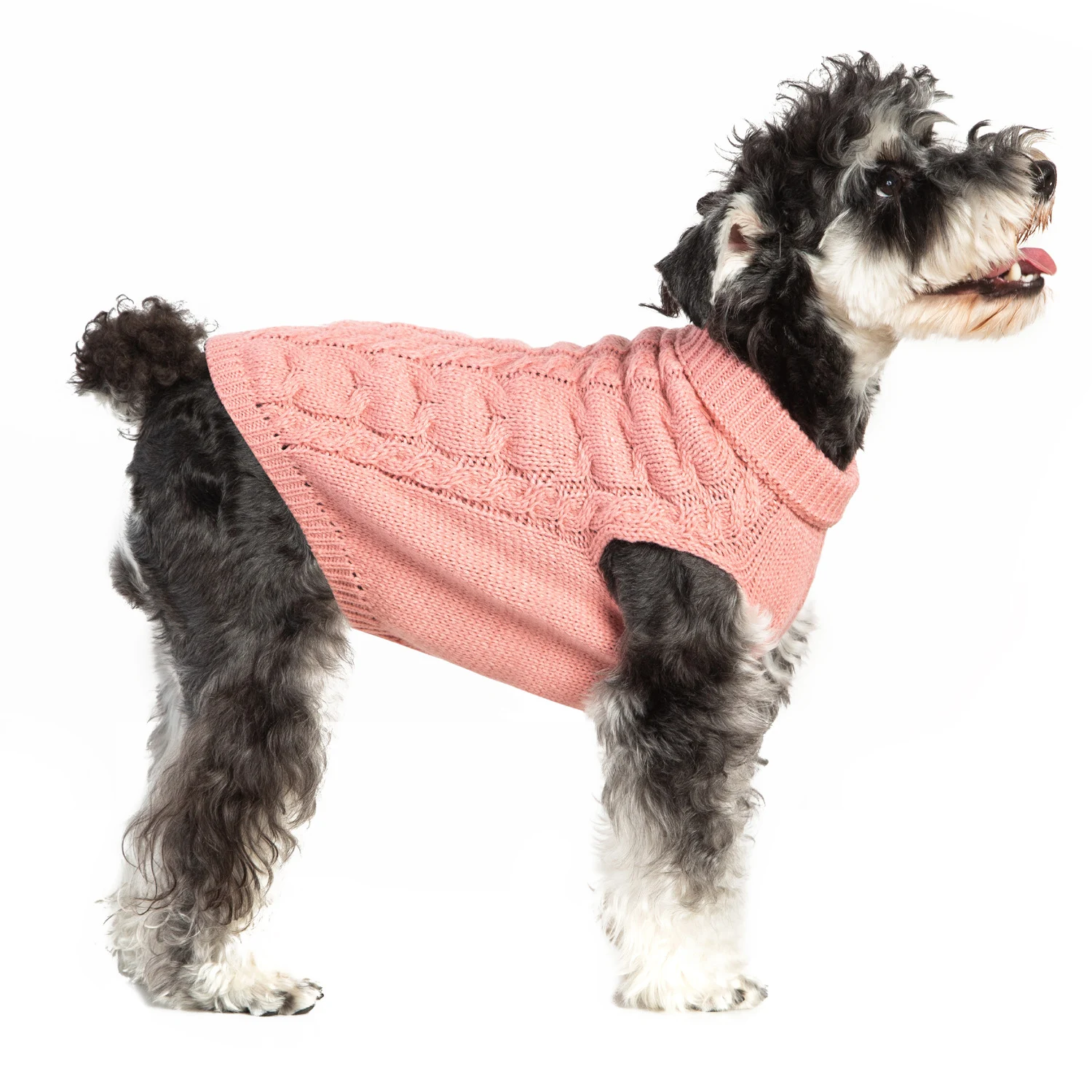 New Autumn and Winter Warm Woolen Pet Clothes Cozy Dog and Cat Coats and Apparel Soft and Comfortable Wear for the Cold — photo 4