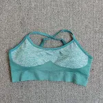 1877 Bra Green
