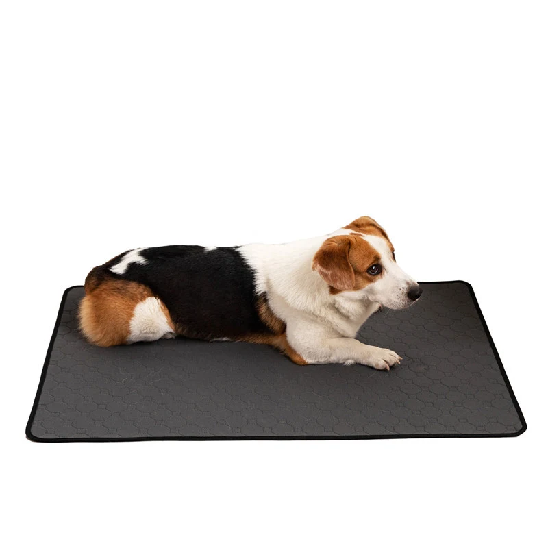 Repeated Water Absorption Training for Reusable Pet Changing Pads. Minimizes leaks and odors, simplifies cleanup, and sa — photo 1
