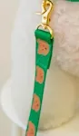 Green leashes 2m