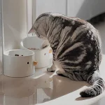 miniatures image - 9