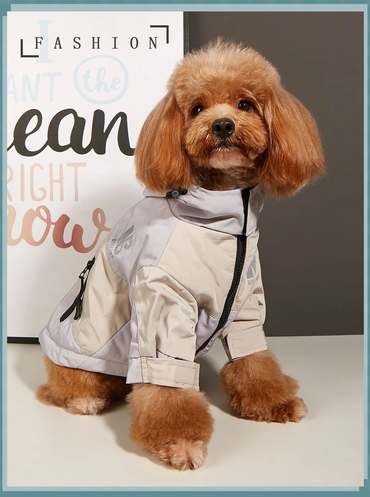 product image - 11