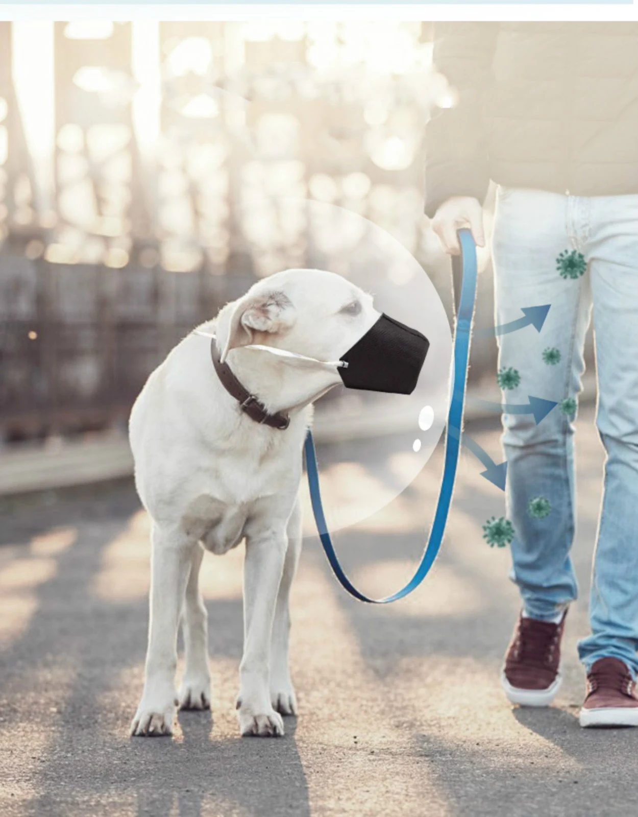 Go Out pet mouth cover prevents biting and licking. Its comfortable and secure design ensures peaceful walks and worry-f — photo 4