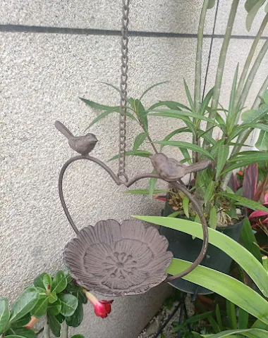 Image product - 3