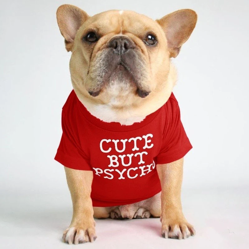 Title 7, Fadou Turtleneck Crew Neck T-shirt Bichon Japan...