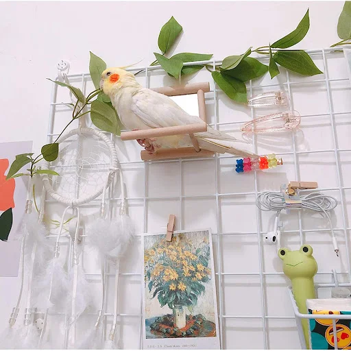 product image - 3