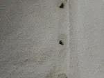 miniatures image - 5