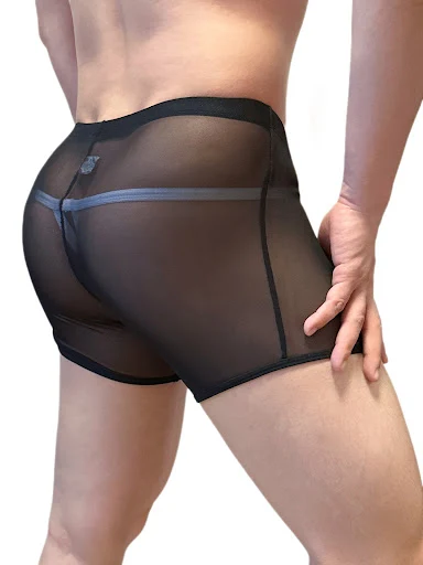 Title 6, Mens Lace Mesh Boxer Briefs Summer Thin
