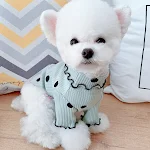 miniatures image - 2