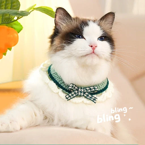 Cute Pet Cat Saliva Towel Hand-knitted Adjustable Kitten Cat Puppy Bow-knot Collar Pet Cat Decorative Collar Kitten Acce — photo 5