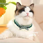 Cute Pet Cat Saliva Towel Hand-knitted Adjustable Kitten Cat Puppy Bow-knot Collar Pet Cat Decorative Collar Kitten Acce — photo 5