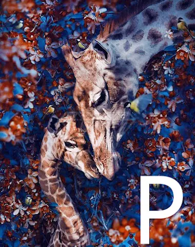 Image product - 3
