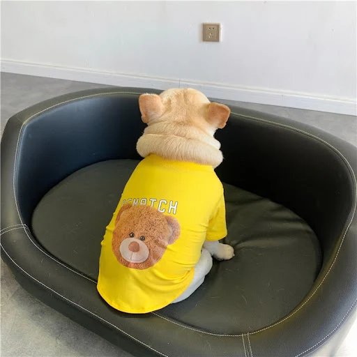 Title 4, Pet Dog Rainbow Plaid Plush Vest Autumn And Win...