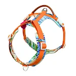 Dog chest strap prevents escapes in summer for medium and large breeds. Keep your dog safe and secure during summer walk — photo 10