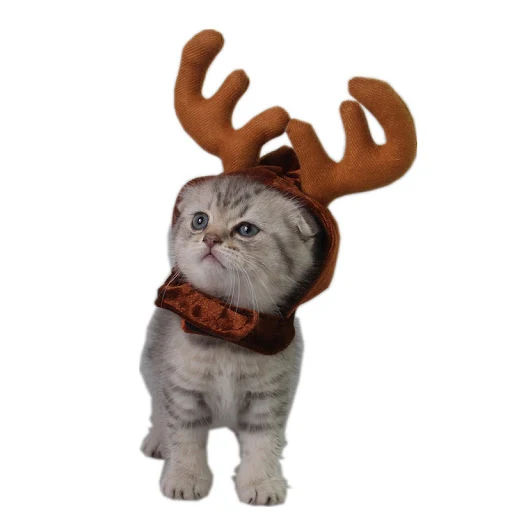 Title 5, Teddy Dog Cat Antlers Festive Holiday Costume f...