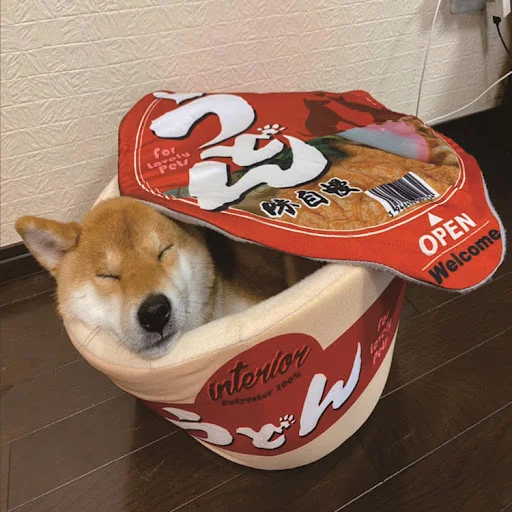 Title 8, Design Instant Noodle Dog Round Closed Cat Litt...
