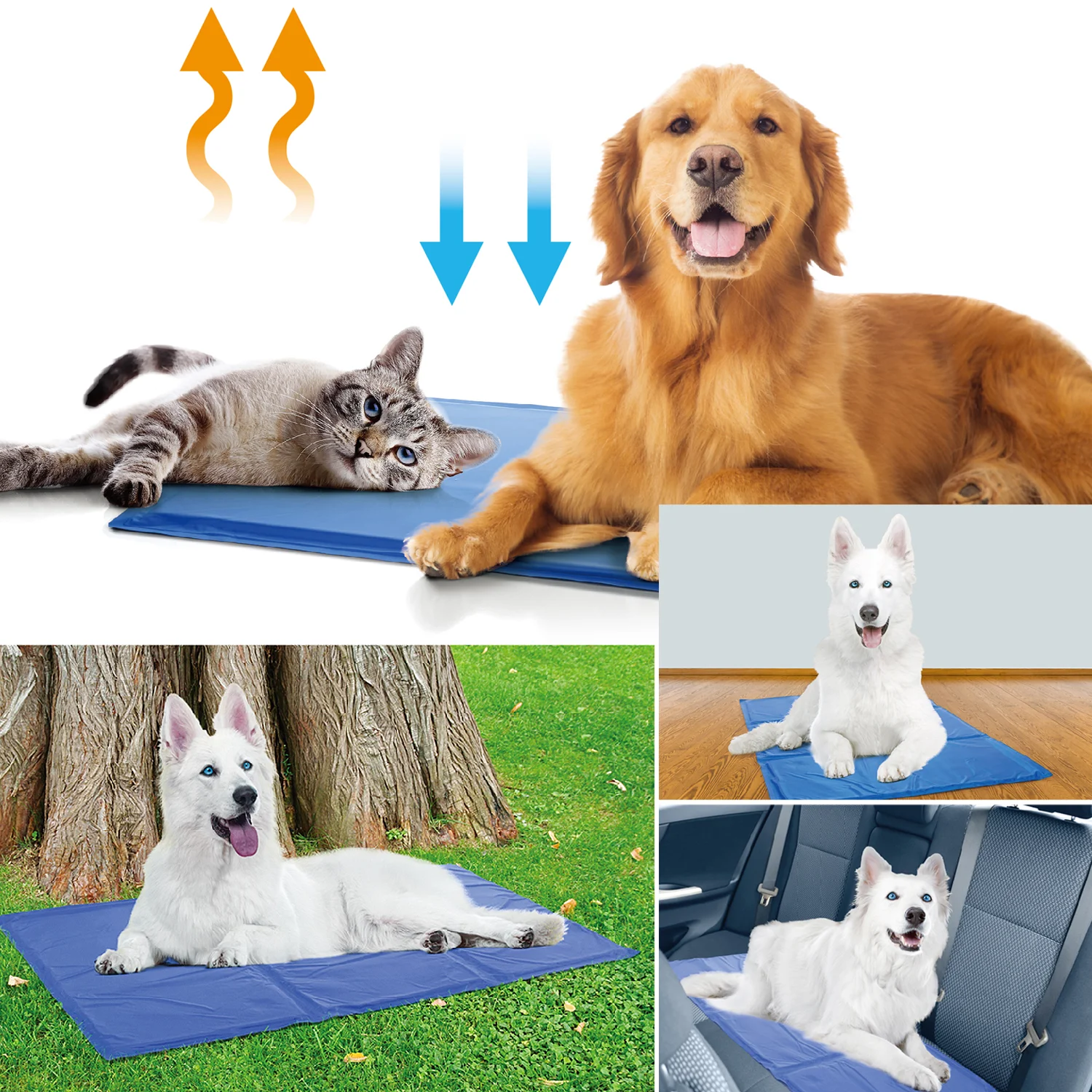 product image - 5