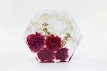 miniatures image - 31